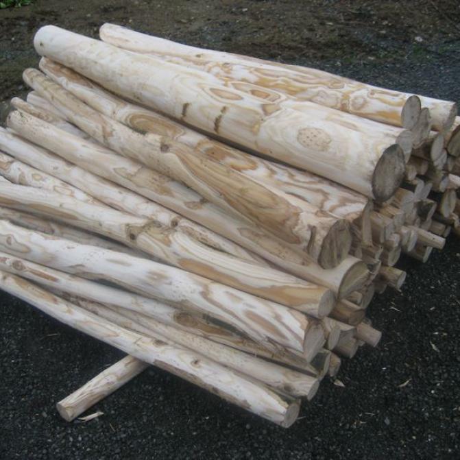 bark-covered-wooden-stakes