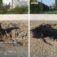 before-and-after-stump-grinding