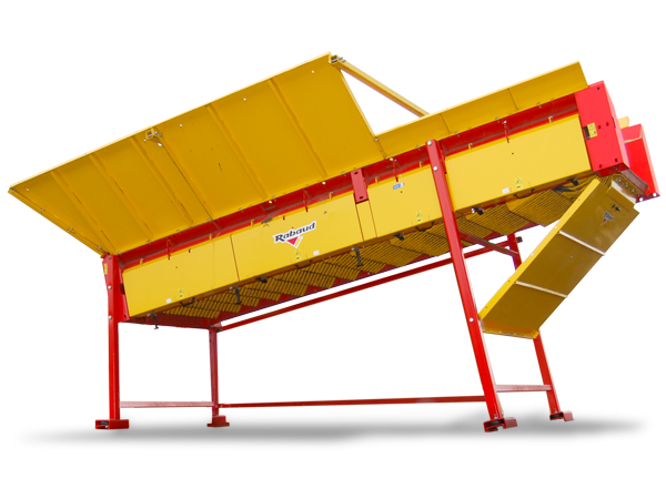 nettoyage de buche bois