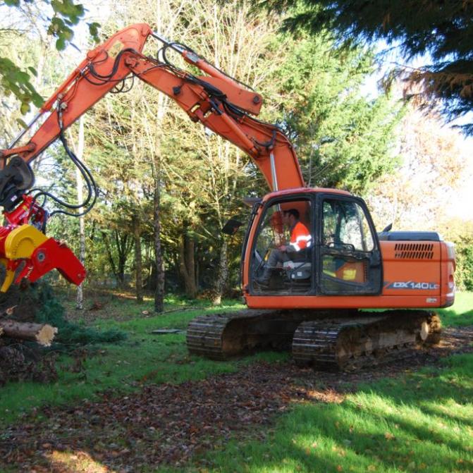 tree-cutter