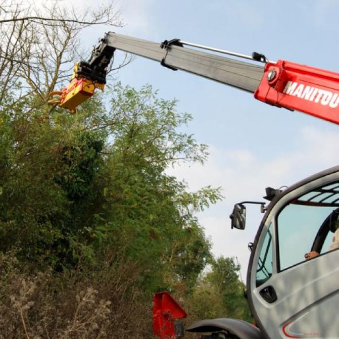 tree-limb-cutter-pruner