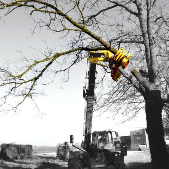 branch-cutter-excavator-rabaud