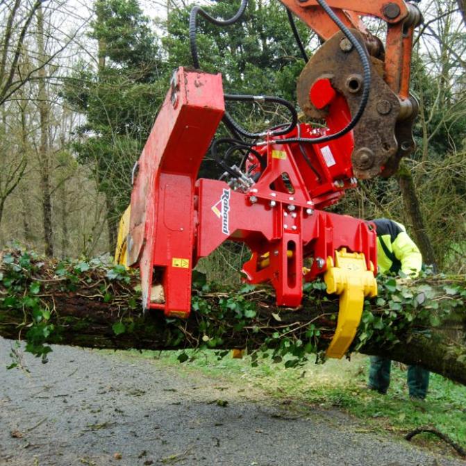 oak-tree-pruning-road