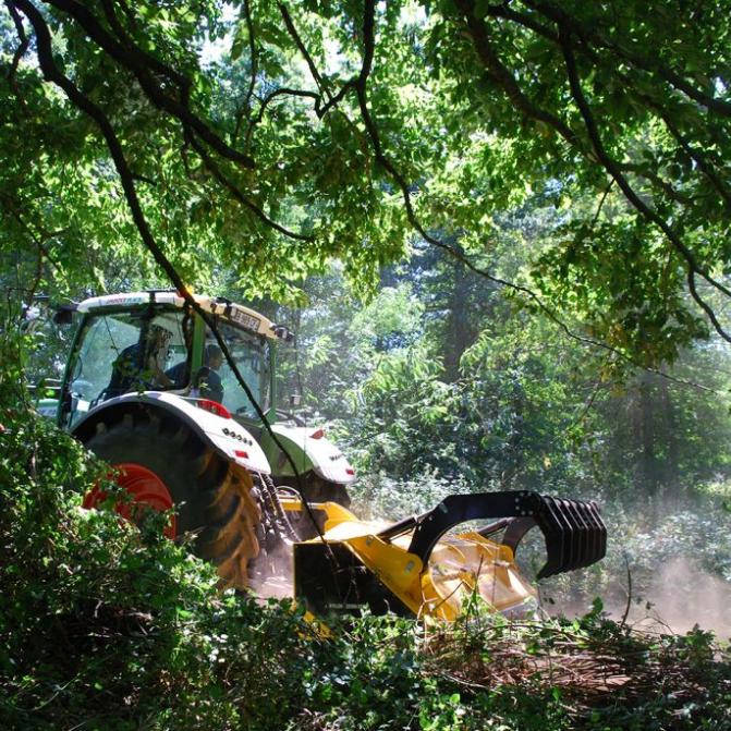 foret-taillis-broyer-tracteur