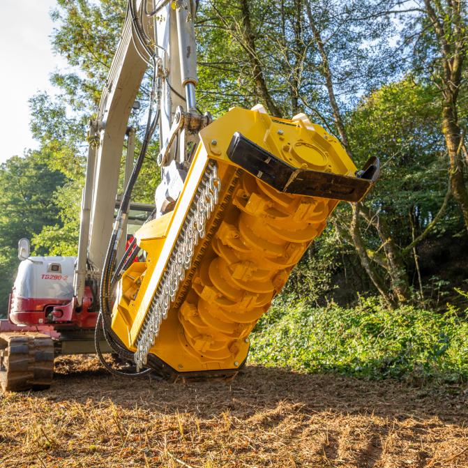 xylor-rabaud-lames-forestieres