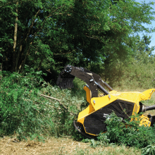 broyage-entretien-foret