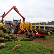 beladung-von-holz-mit-kran