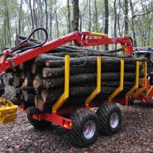 anhänger-mit-holztransportkran-und-greifer