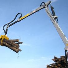 grappin-grue-forestiere