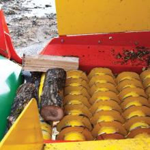 hedgehog-sorting-roller