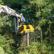 xylor-rabaud-broyage-arbres